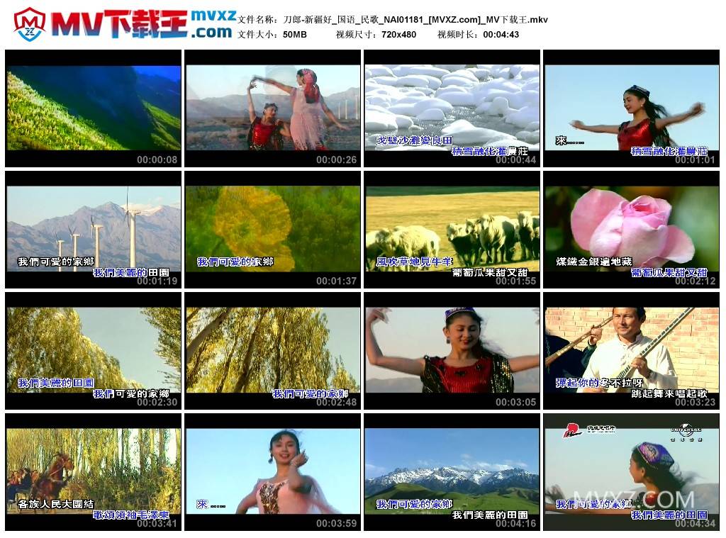 刀郎-新疆好_国语_民歌_NAI01181